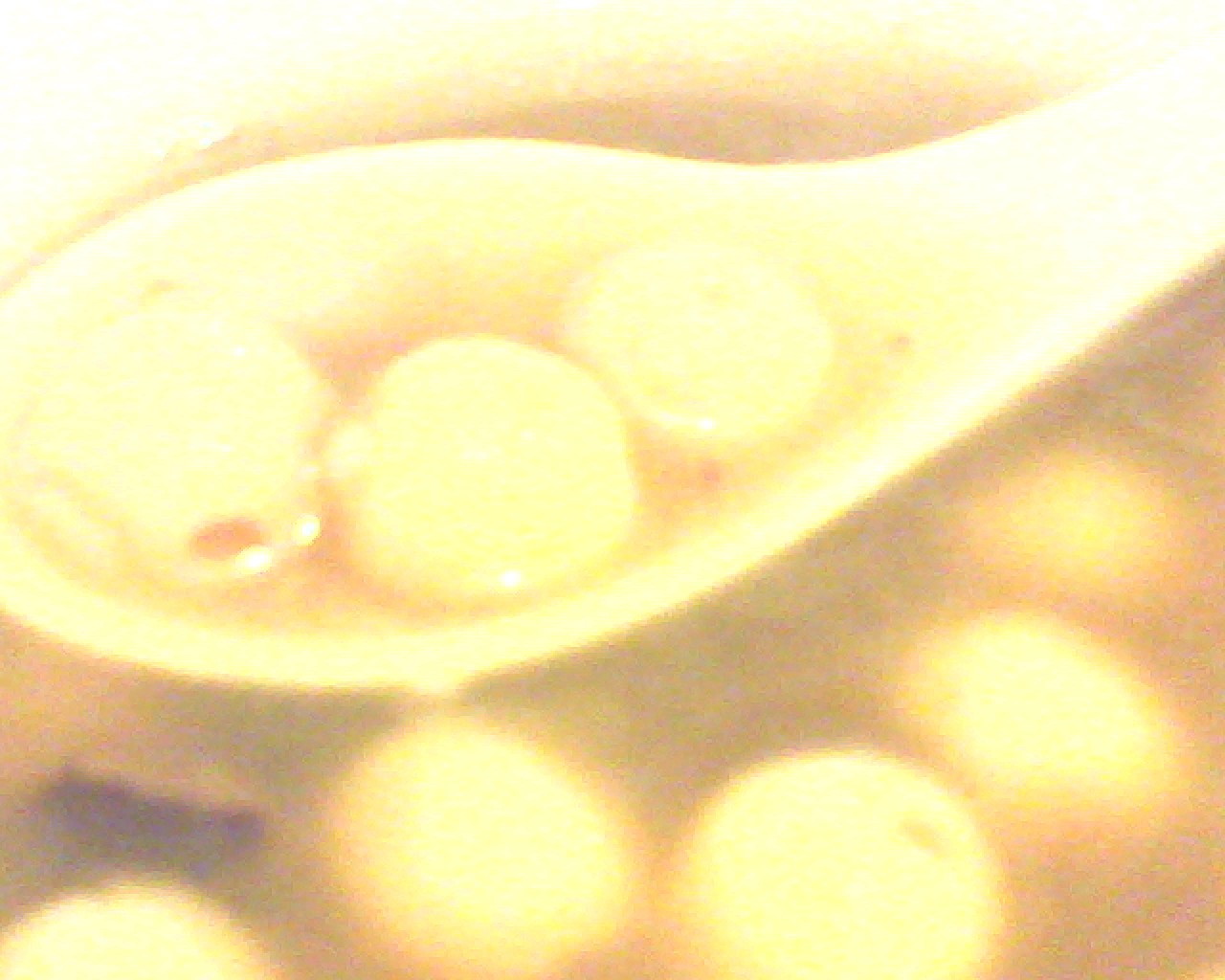 20080101